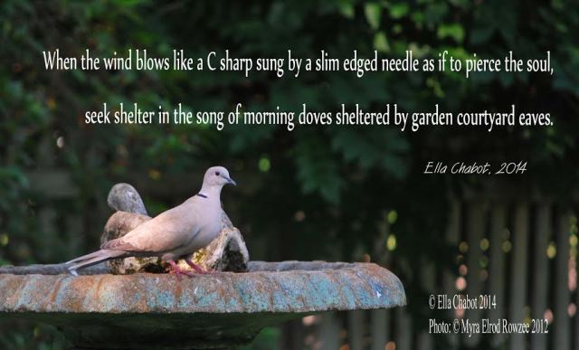 Dove photo Myra and Ella