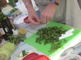 Nancy at Fellsmere 2